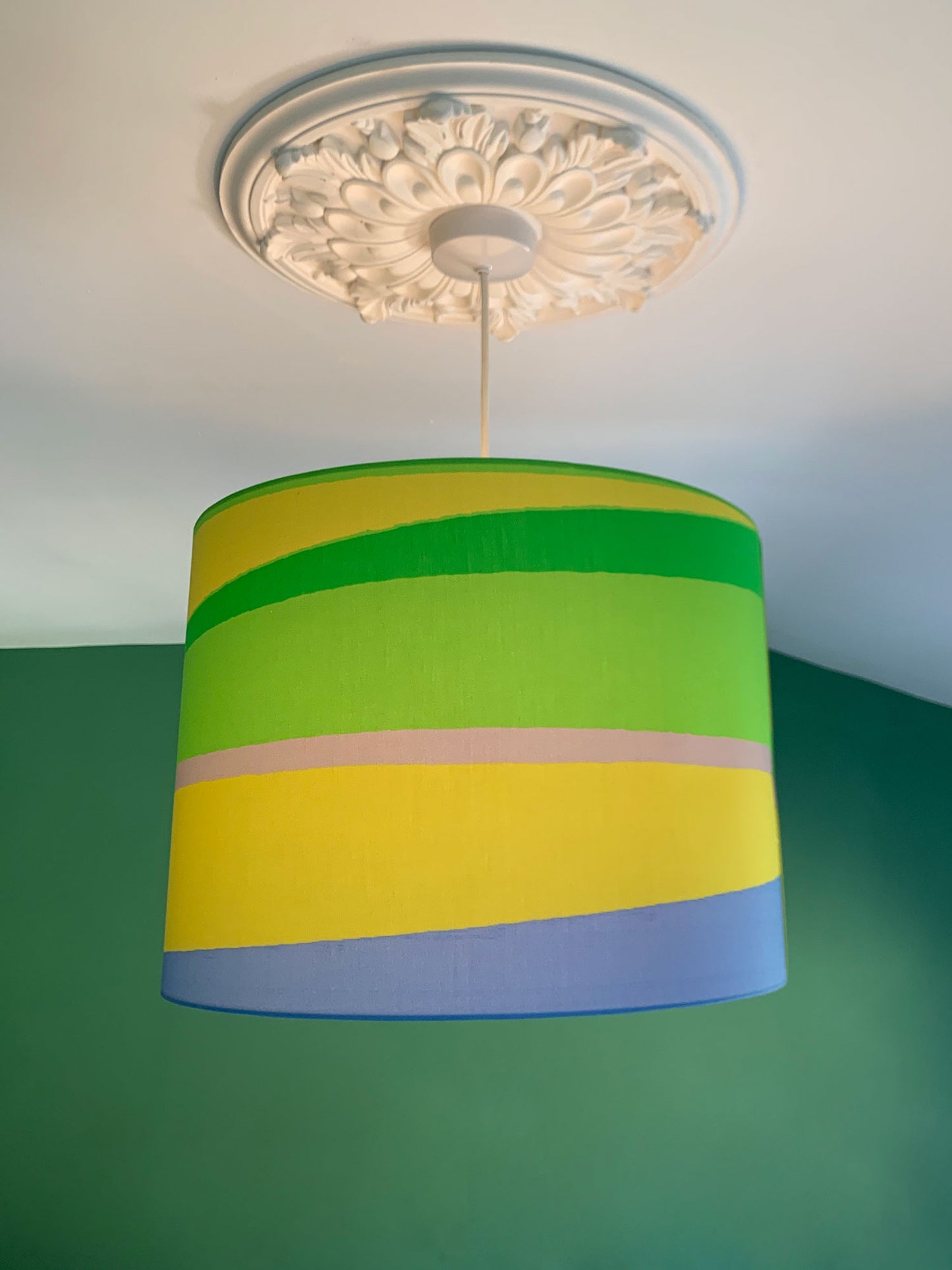 Park Life Drum Lampshade